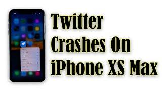 How to Fix Twitter That Keeps Crashing On iPhone XS Max After iOS 13.6