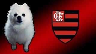 Hino do Flamengo em cachorrês | FUTEBOL