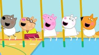 Classe di ginnastica | Peppa Pig Italiano Episodi completi