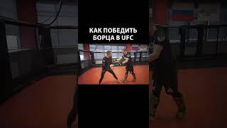 Как победить борца в UFC #mma #UFC #shorts