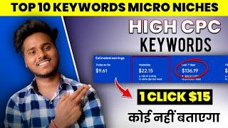 micro niche blog topics 2024 usa |  High CPC Niches For International Blogging