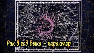 Рак в год Быка - характер