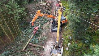 Bagger mit Woody Prozessor beim Holz 🪓 an der Seilbahn mit Forstunternehmen Bernet & Mathys