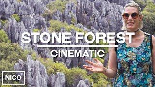 Stone Forest Yunnan China - Cinematic