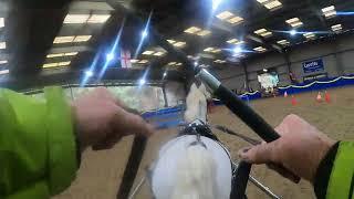 Driver's eye-view, single pony, obstacle driving