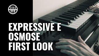 First Look at the Osmose by Expressive E and Haken Audio | Thomann