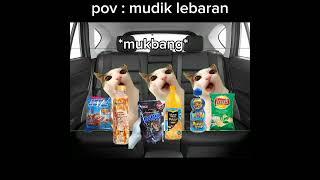 POV : MUDIK LEBARAN || MEME KUCING