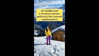 20 с лишним профессий, в которых, в Норвегии, можно работать без знаний норвежского #норвегия