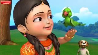 பச்சைக்  கிளி | Tamil Rhymes for Children | Infobells