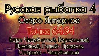 РР4. Озеро Янтарное. ФАРМ. Где ловить Карп Линейный, Зеркальный, Чешуйчатый, Голый- призрак, Старвас