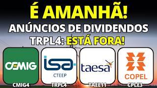 3 ELÉTRICAS ANUNCIARAM DIVIDENDOS! (TRPL4 E NEOE3 FORA) NOVO LEILÃO DE TRANSMISSÃO DE ENERGIA TAEE11