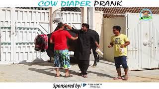 | COW DIAPER PRANK | By Nadir Ali In | P4 Pakao | 2017