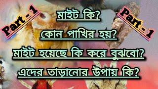 মাইট কি?কোন পাখির হয়?মাইট হয়েছে কি করে বুঝবো?এদের তাড়ানোর উপায় কি? PART - 1 