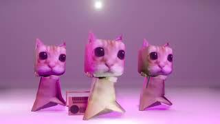 Chipi Chipi Chapa Chapa (Bemax Phonk Remix 2024) El Gato Cats Dance [AMV]