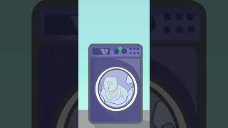 Caesar the Cat  Vs. Tumbledryer