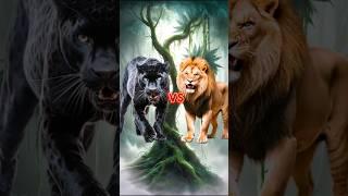 Black Leopard vs Animals & Monsterverse #animalbattle