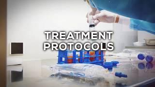 Stem Cells Group Youtube Channel Promo