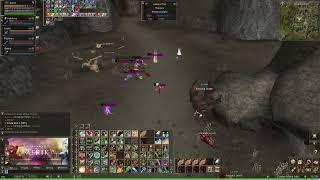 Lineage II Amerika - PvP Zone - Please log more tanks...