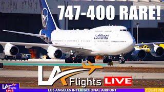 LAX LIVE:  LAX Plane Spotting | LOS ANGELES INTERNATIONAL AIRPORT | November 16, 2024