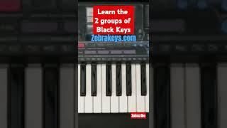 Piano Basics Learn how to quickly recognize the keys on the keyboard in relative to their position