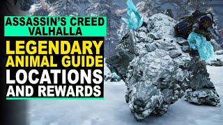 Assassin's Creed: Valhalla - LEGENDARY ANIMAL Guide | Locations and Rewards!