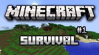 it's time to play minecraft survival series ep-1 | Techno dev