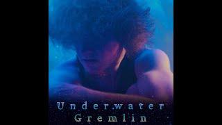 Spherical Cheese - Underwater Gremlin (FULL ALBUM)
