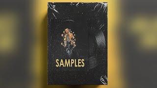 [FREE] TRAP SAMPLES / SAMPLE PACK (Samples for Hip-Hop,Lofi,Drill and Trap)