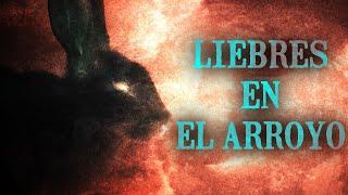 Liebres en el arroyo - Creepypasta