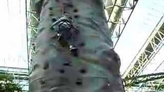 lindsey climbing wall