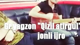 Gr Yagzon Qizil atirgul jonli ijro