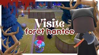 🩸 La FORET HORRIFIANTE d'Amity-Isle ! (VISITE d'ILE thème HORREUR) | Animal Crossing New Horizons