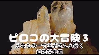 [鉱物採集2022]　ピロコの大冒険3　みなもの一寸道草さんと行く　鉱物採集編