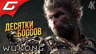 ПЕКЛО и СТУЖА  Black Myth: Wukong ◉ Прохождение 3