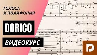 Нотный редактор Dorico Pro 3.5 – 11. Голоса и полифония