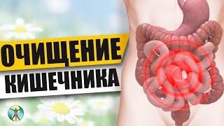 Очищение кишечника. Как очистить кишечник в домашних условиях.