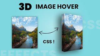 CSS 3D Image Hover Effects | Html CSS 3D Hover Effects