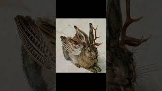 Mythological Creatures [1] Jackalope/Wolpertinger | #shorts #mythology #halloween #scary (Re-upload)