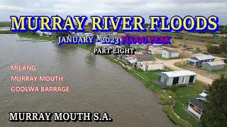 Murray River Floods 2023 / Part Eight - Milang to the Murray Mouth