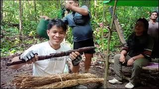 proses dan cara memanjat madu di hutan Kalimantan Bikin ngilu..bersama suku Dayak