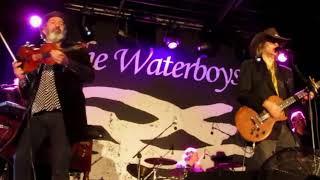 'How Long Will I Love You' -  The Waterboys - Leopardstown Dublin 16th August 2018