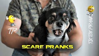 Ultimate scare pranks 2021  Try not to laugh  Best compilation of scare cam #31