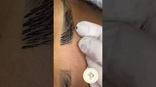 MICROPIGMENTAÇÃO FIO A FIO #micropigmentacao #microblading #micropigmentacion