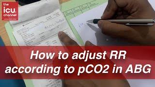 How to adjust Respiratory Rate (RR) according to pCO2 levels in ABG