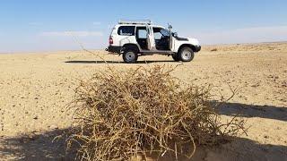 Tozeur, the desert gate in  TUNISIA 