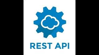 Use REST API  ||  Platform API Basics