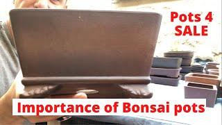 Bonsai pots the importance of quality pots - Bonsai pots for sale