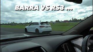 TURBO BARRA FALCON vs AUDI RS3, V10 DODGE VIPER & MORE !!!!!