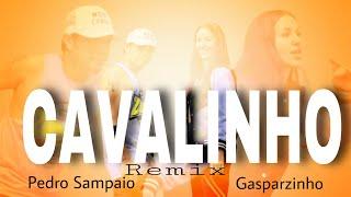 CAVALINHO | Remix | Perdo Sampaio | Gasparzinho | ZUMBA | Brazialianfunk | BY: ZIN JOEL / SAMANTHA