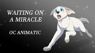 Waiting on a Miracle - OC ANIMATIC